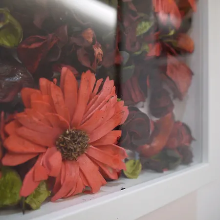 בית הארחה Mapoula Pr Boutique סנטיאגו דה קומפוסטלה