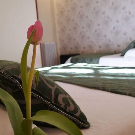 Mapoula Pr Boutique Saint-Jacques-de-Compostelle