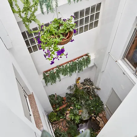 Mapoula Pr Boutique Santiago de Compostella