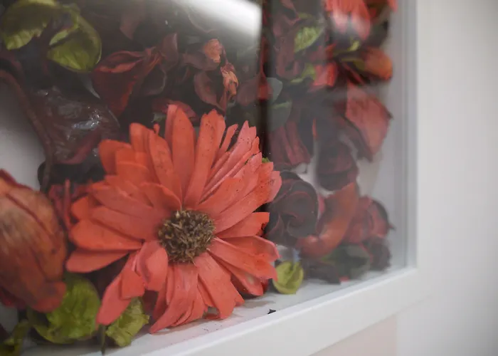 Maison d'hôtes Mapoula Pr Boutique Saint-Jacques-de-Compostelle