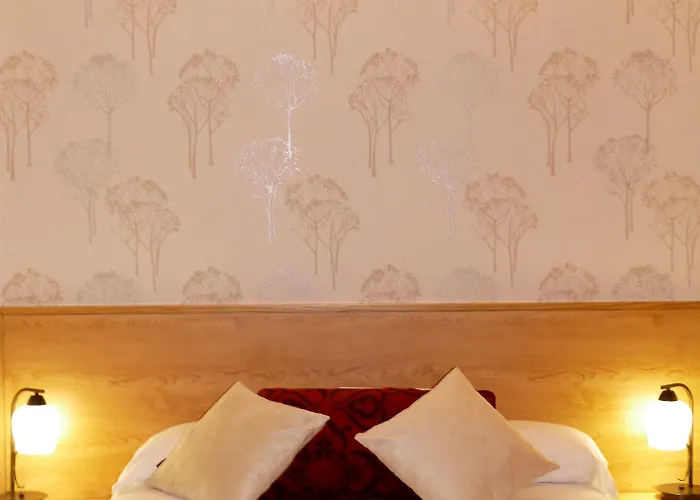 Mapoula Pr Boutique Saint-Jacques-de-Compostelle