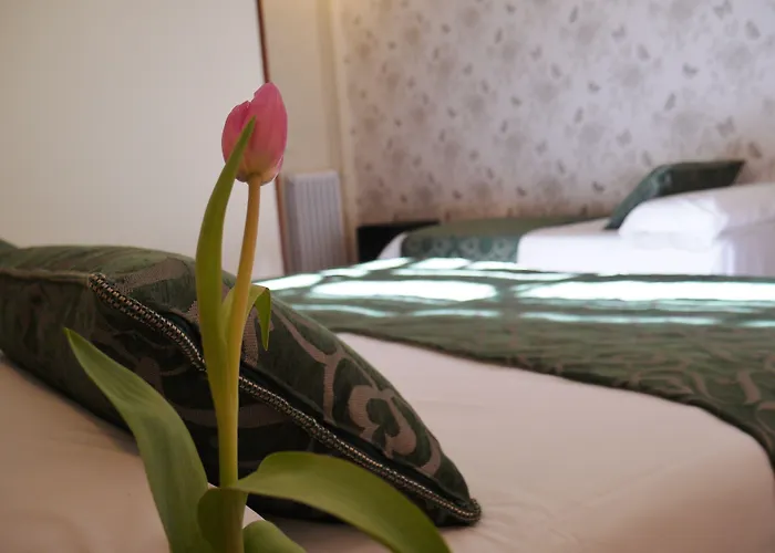 Mapoula Pr Boutique San Giacomo di Compostella