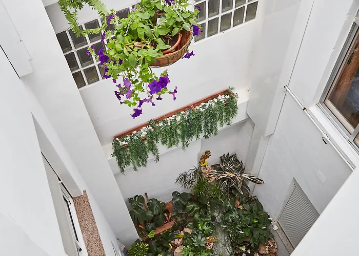 Mapoula Pr Boutique San Giacomo di Compostella